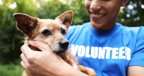 A smiling volunteer in a blue shirt holding a small brown dog outdoors.